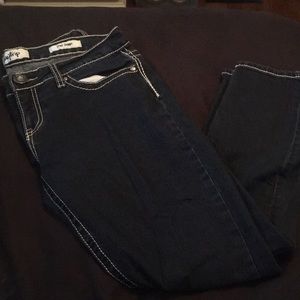 Daytrip lynx skinny jeans